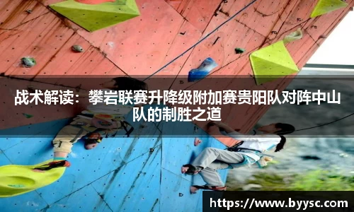 熊猫体育