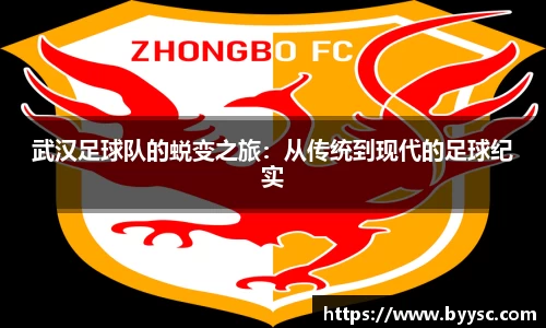 武汉足球队的蜕变之旅：从传统到现代的足球纪实